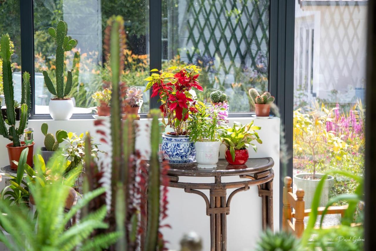 Villa Marguerite 65 Rue Legout Lesage 76260 Ponts Et Marais المظهر الخارجي الصورة